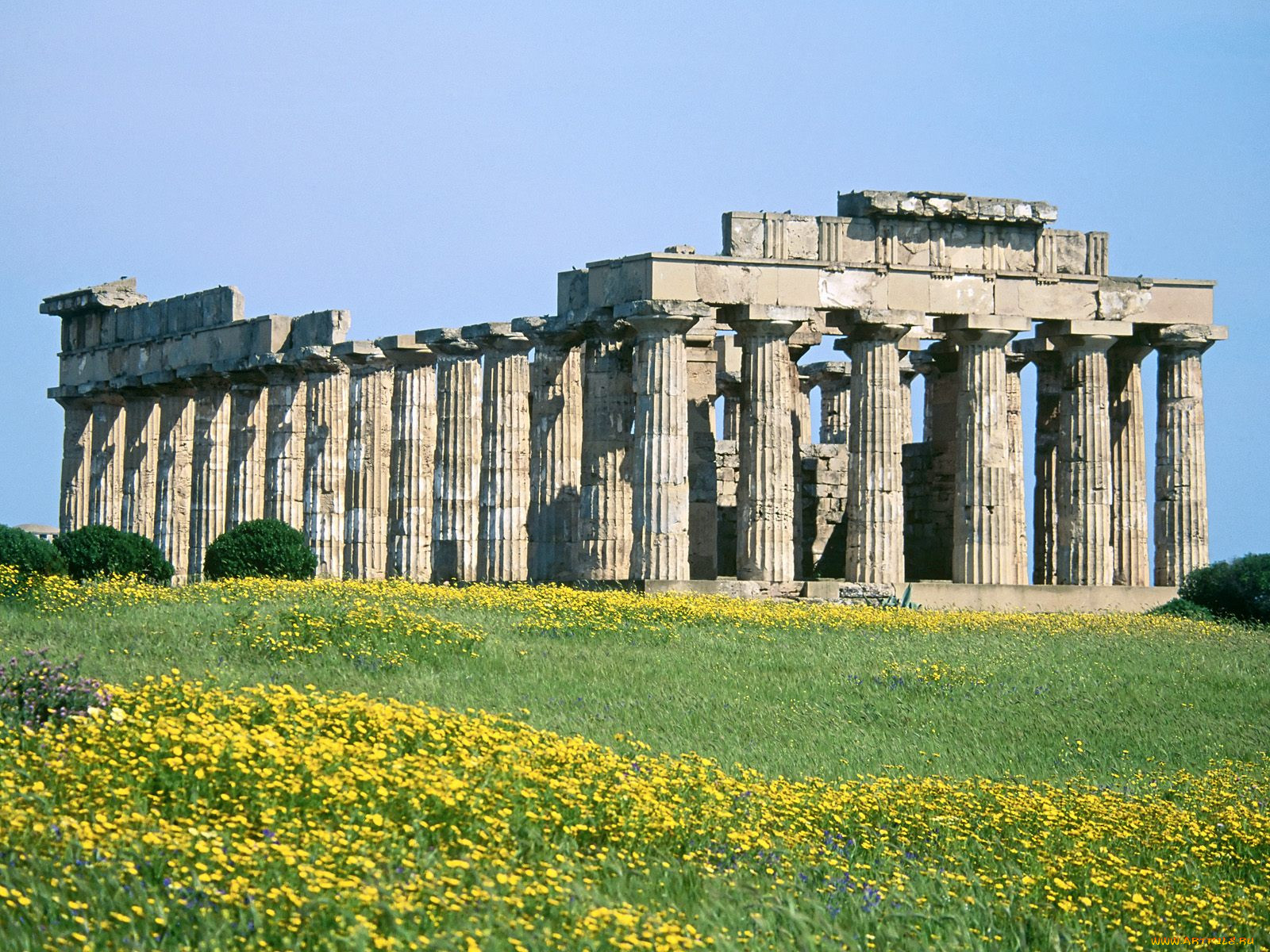 selinunte, sicily, italy, 